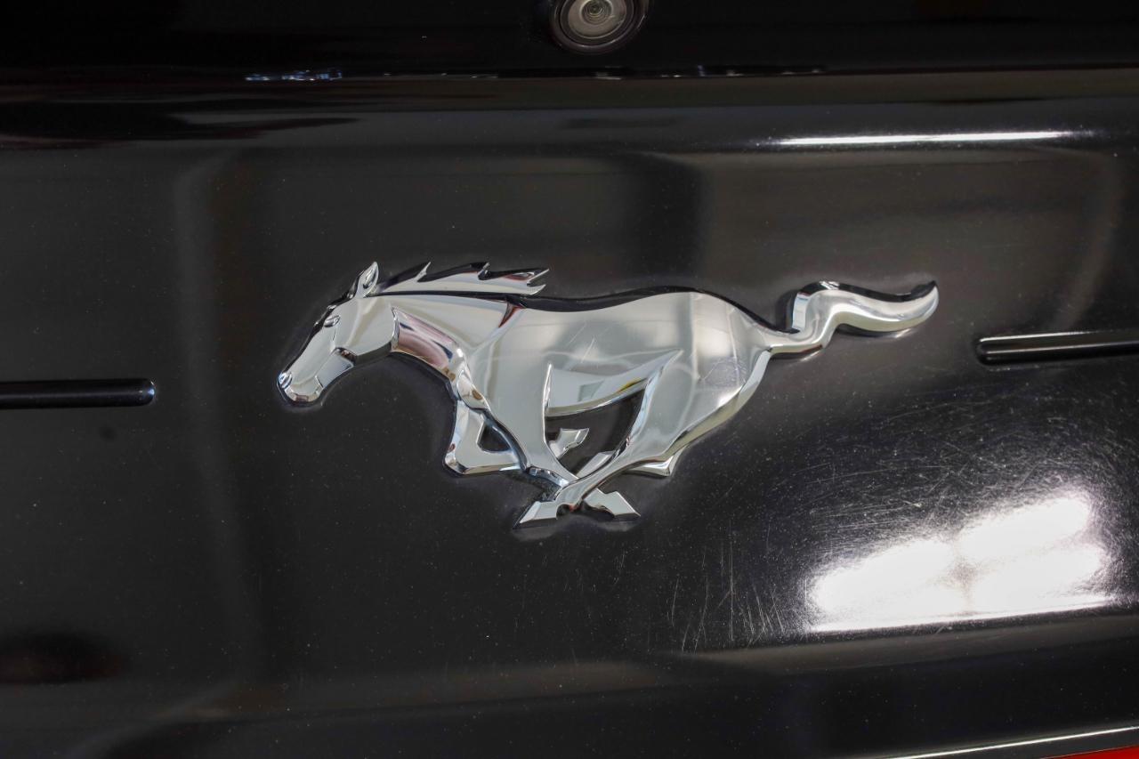 Ford Mustang EcoBoost Fastback 2021