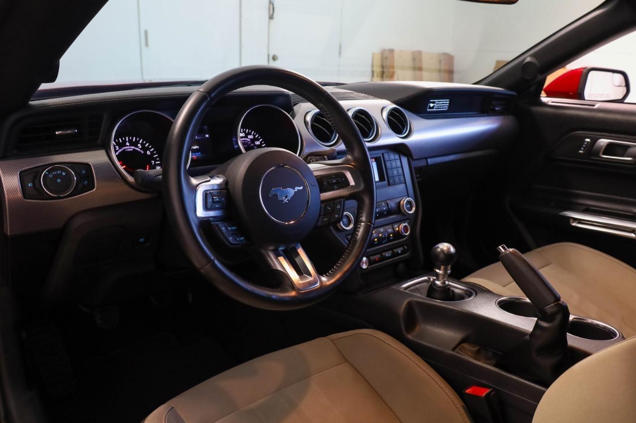 Ford Mustang GT Fastback 2020