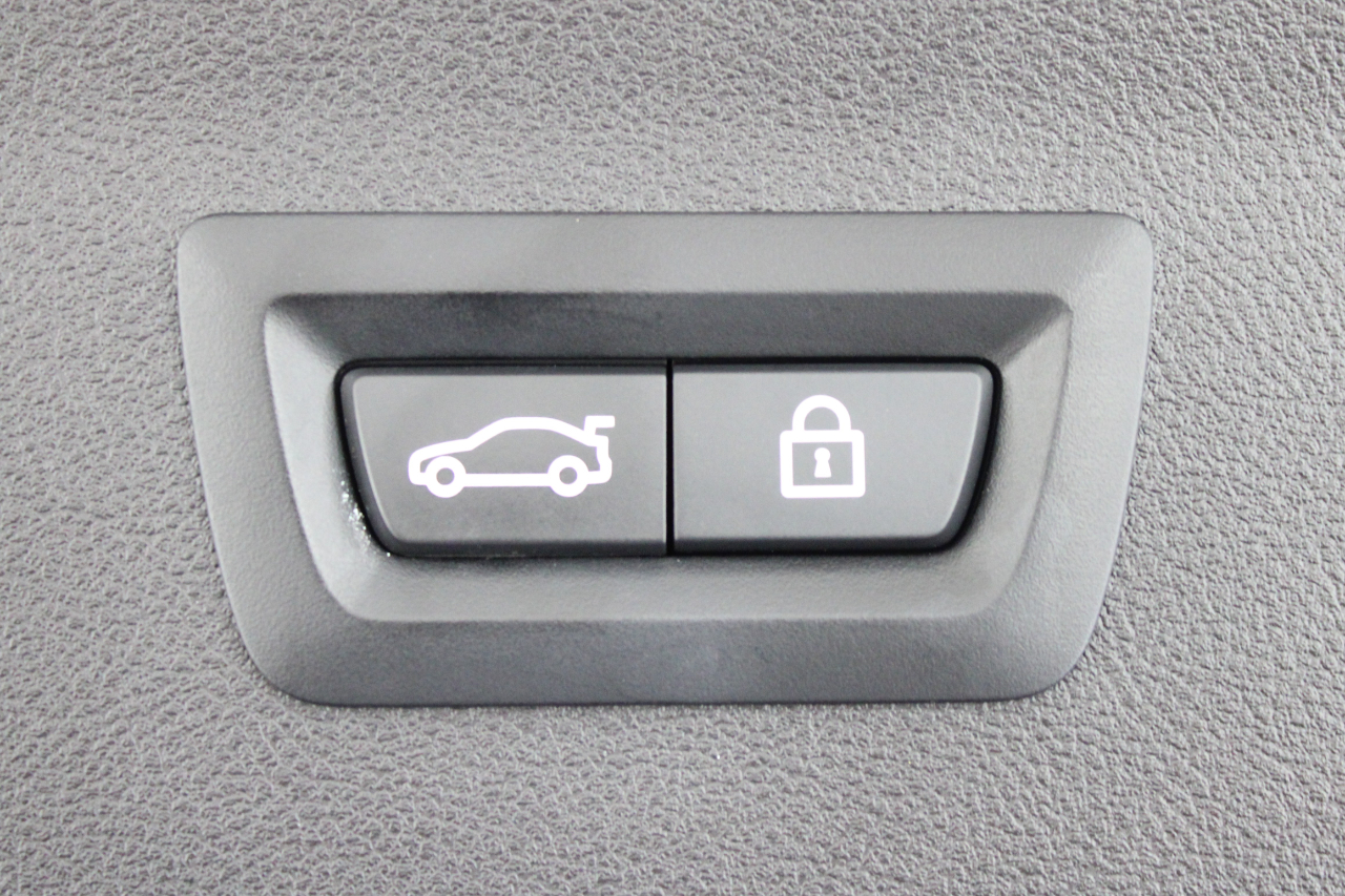 BMW X4 xDrive30i Sports Activity Coupe 2020