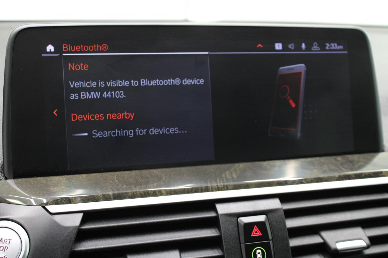 BMW X3 sDrive30i Sports Activity Vehicle 2020