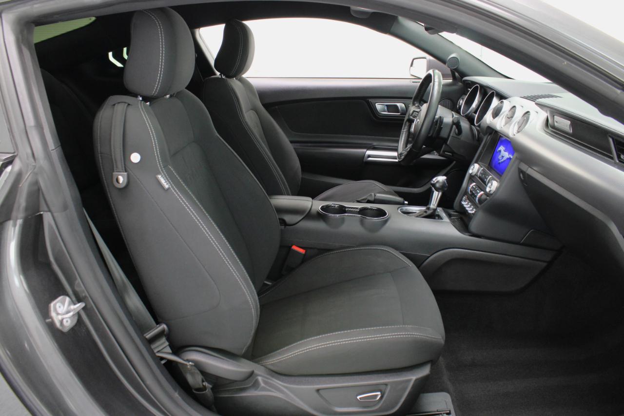 Ford Mustang GT Fastback 2019