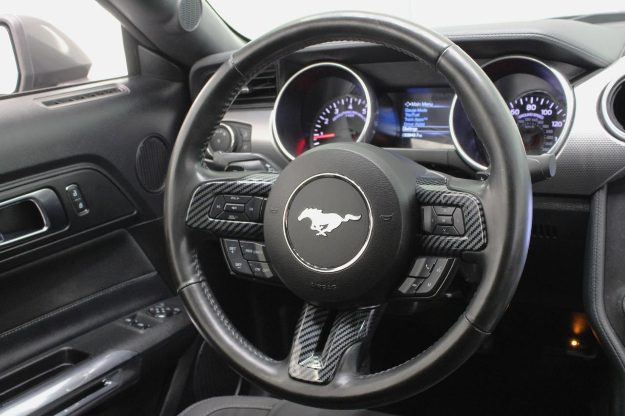Ford Mustang GT Fastback 2019