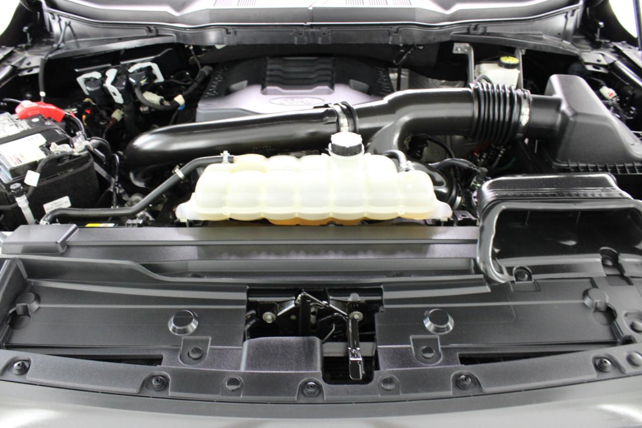 Ford F-150 XLT 4WD SuperCrew 5.5' Box 2021