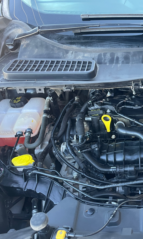 Ford Escape SE FWD 2014