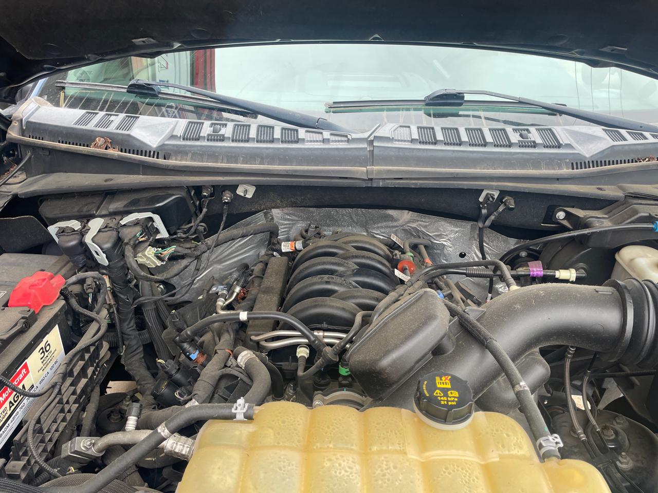 Ford F-150 SuperCrew 139" XLT 4WD 2019