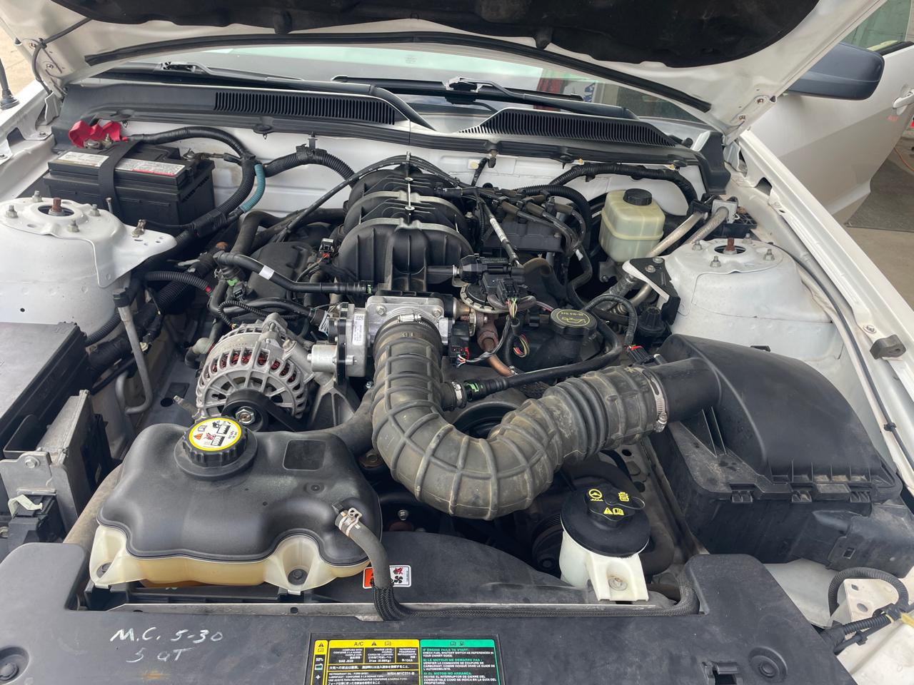 2006 Ford Mustang Standard - Photo 12