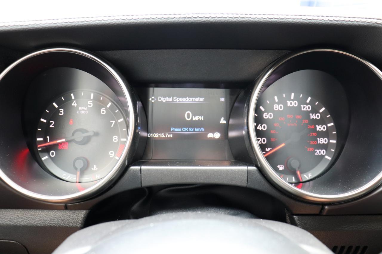 Ford Shelby GT350R  2018