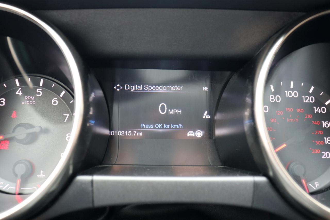 Ford Shelby GT350R  2018