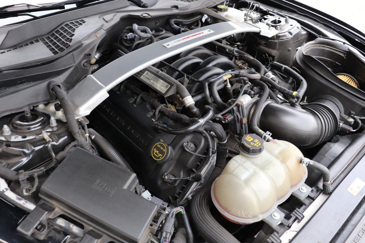 Ford Shelby GT350R  2018