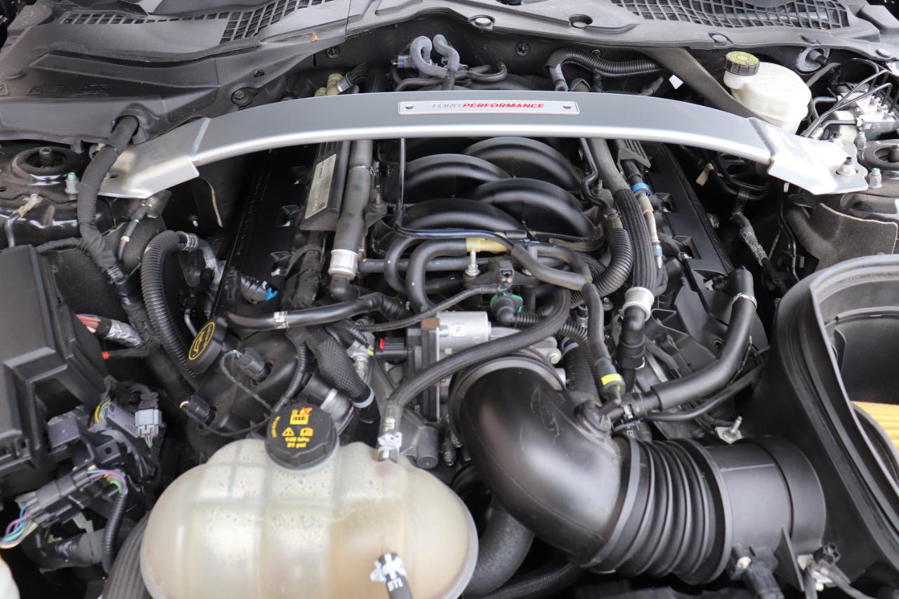 Ford Shelby GT350R  2018