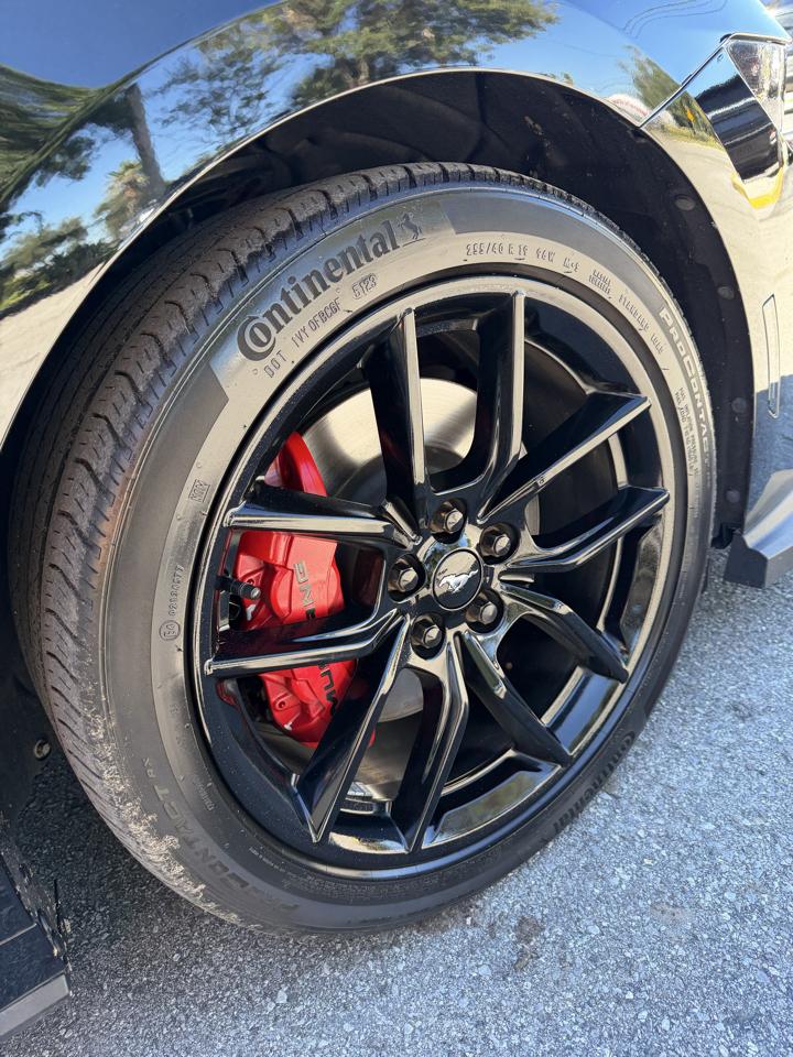 Ford Mustang GT Premium Coupe 2024