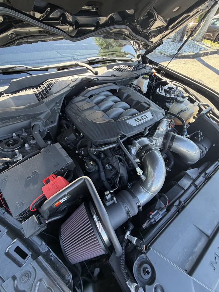 Ford Mustang GT Premium Coupe 2024
