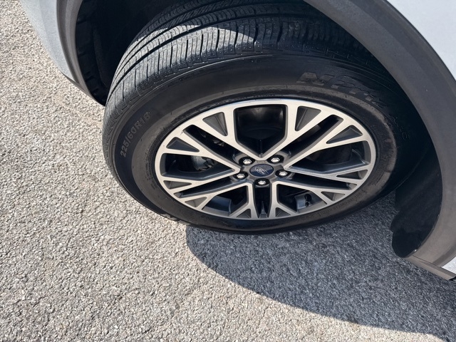 2020 Ford Escape SEL photo 4