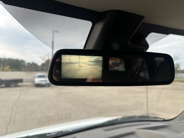 Chevrolet Express Passenger  2019