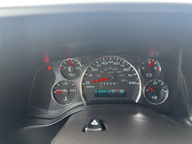 Chevrolet Express Passenger  2019