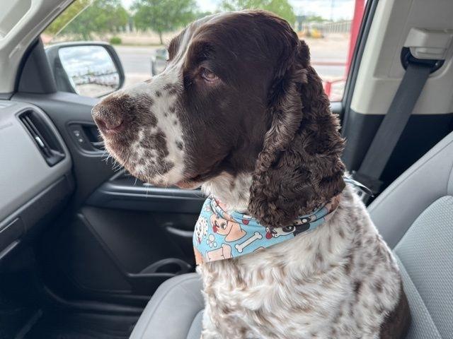 Chevrolet Colorado  2018