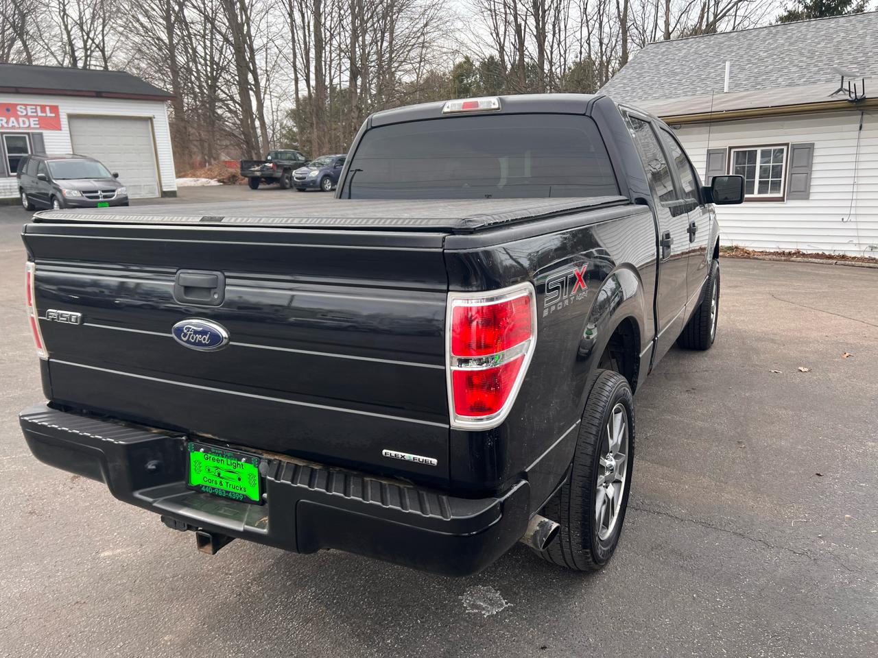 Ford F-150 4WD SuperCrew 145" Platinum 2014