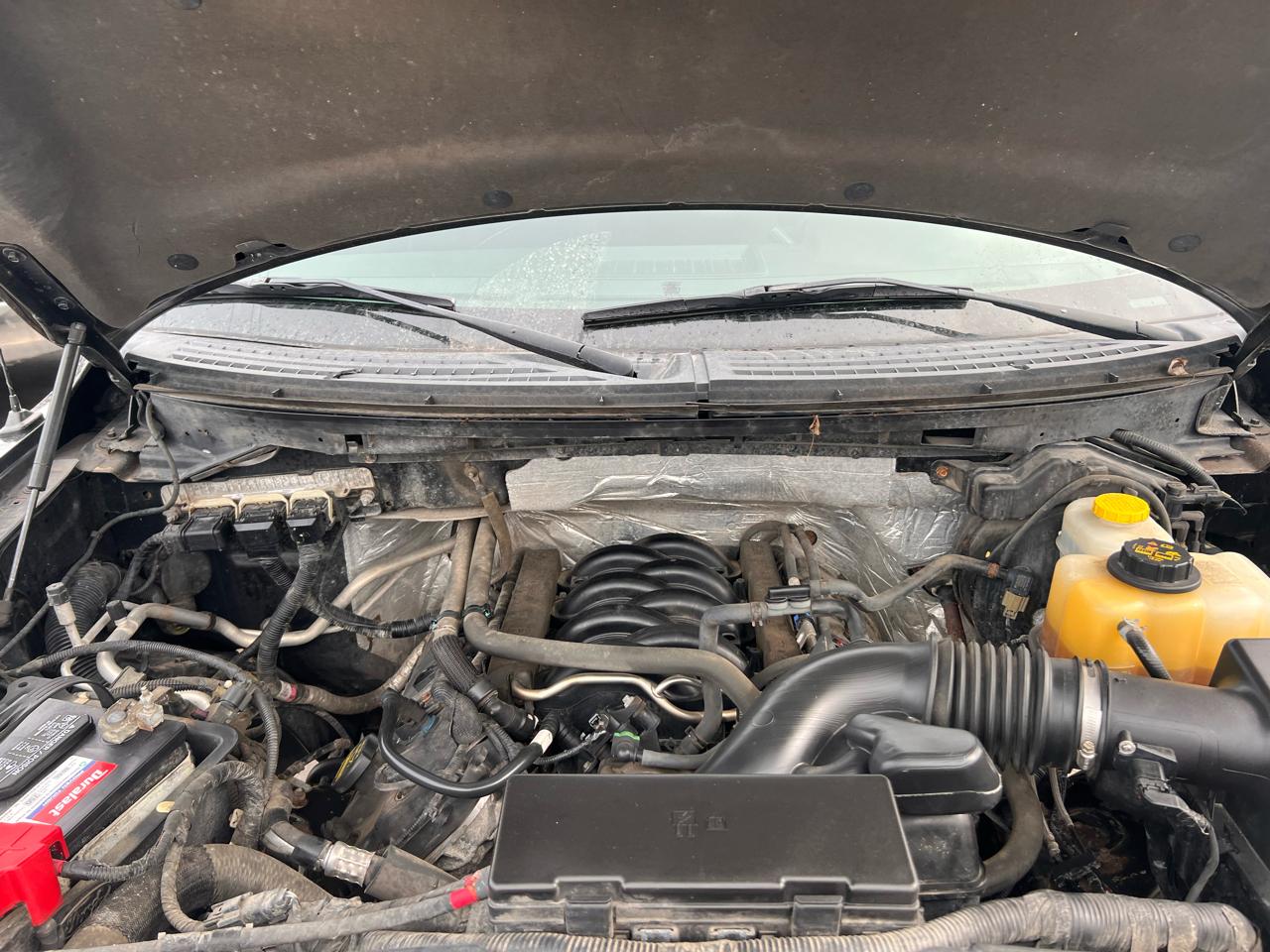 Ford F-150 4WD SuperCrew 145" Platinum 2014