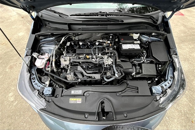 Toyota Corolla LE CVT (Natl) 2024