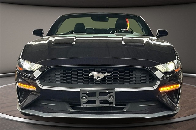 2023 Ford Mustang EcoBoost's photo