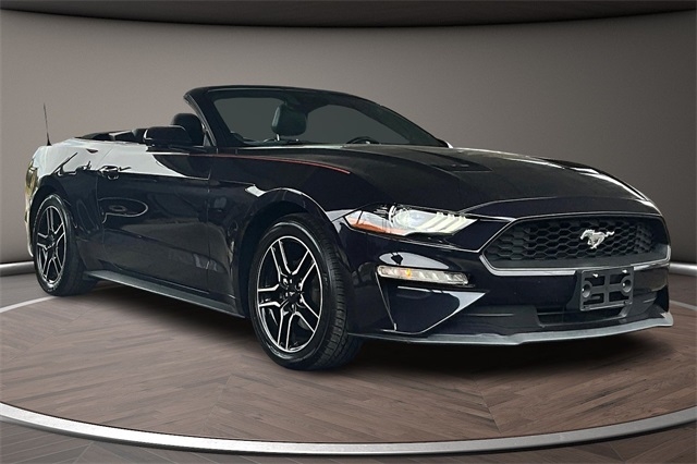 Ford Mustang EcoBoost Convertible 2023