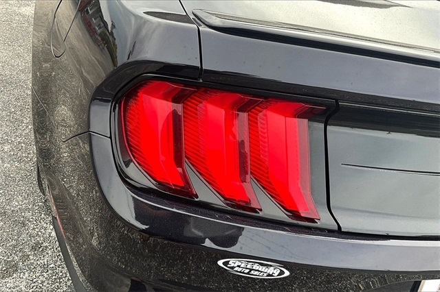 Ford Mustang EcoBoost Convertible 2023