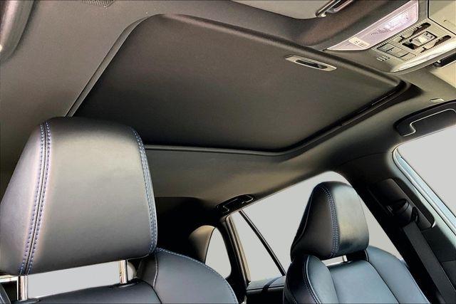Toyota RAV4 Hybrid XSE AWD (Natl) 2023
