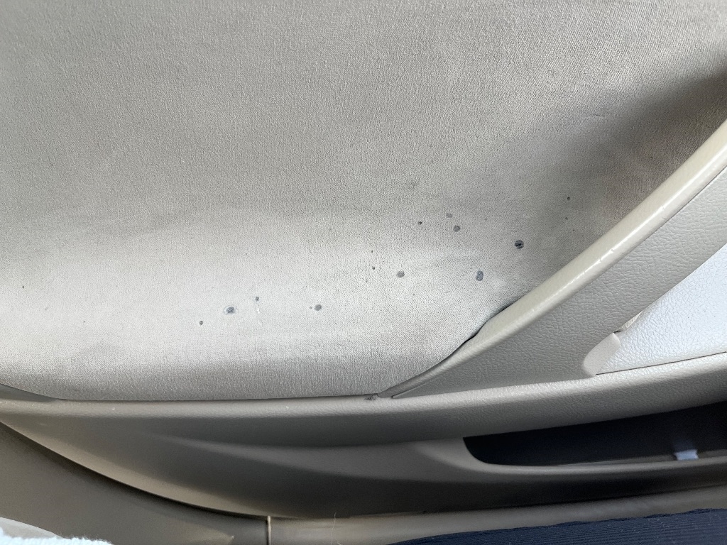 Toyota Camry 4dr Sdn I4 Man (Natl) 2010