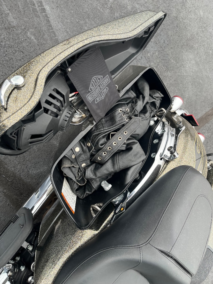 Harley-Davidson FLHXS  2017