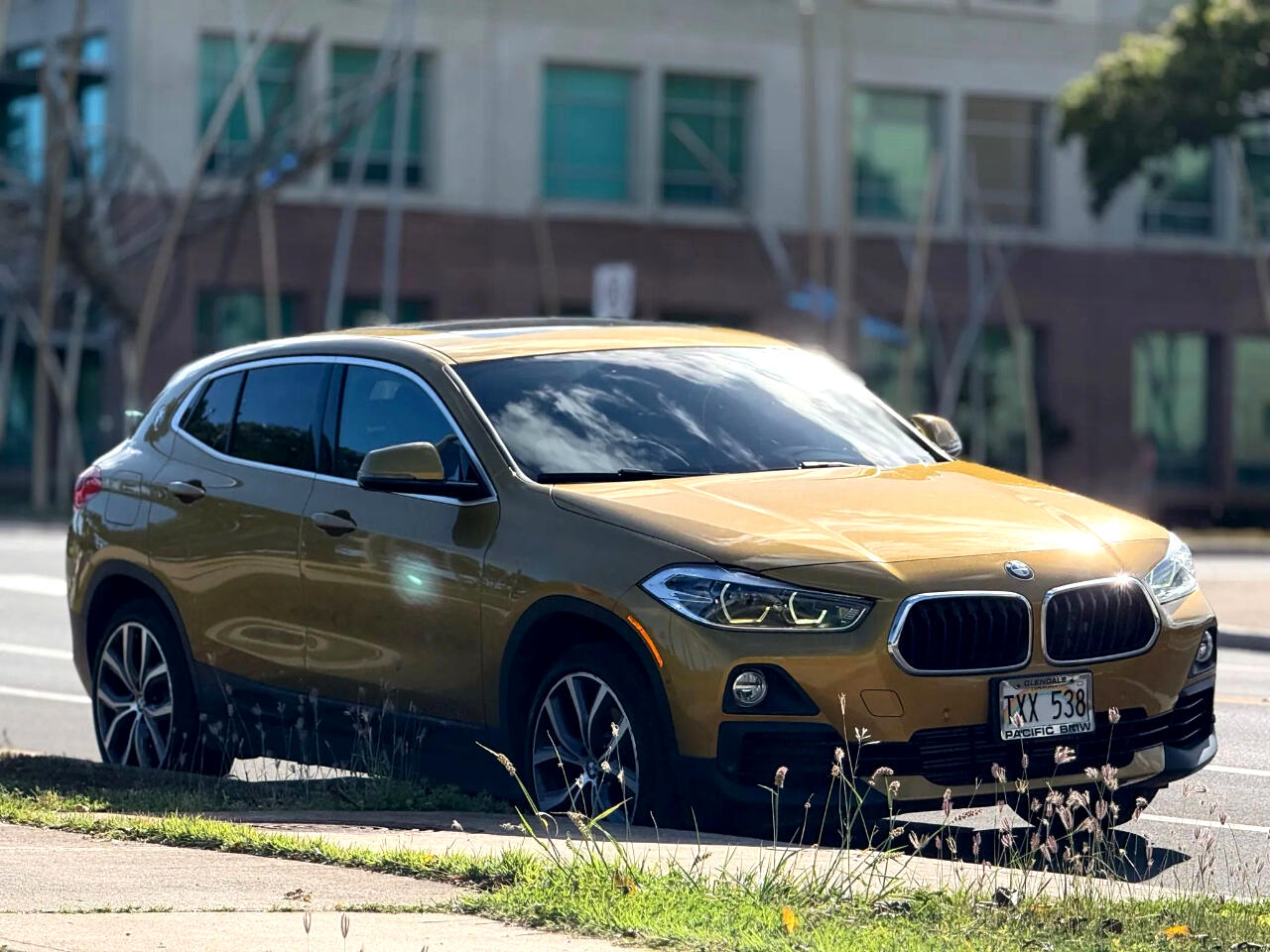 2018 Bmw X2 sDrive28i photo 6