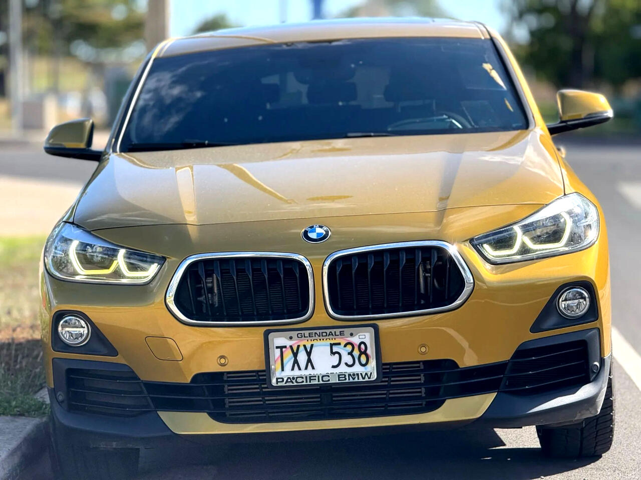 2018 Bmw X2 sDrive28i photo 7