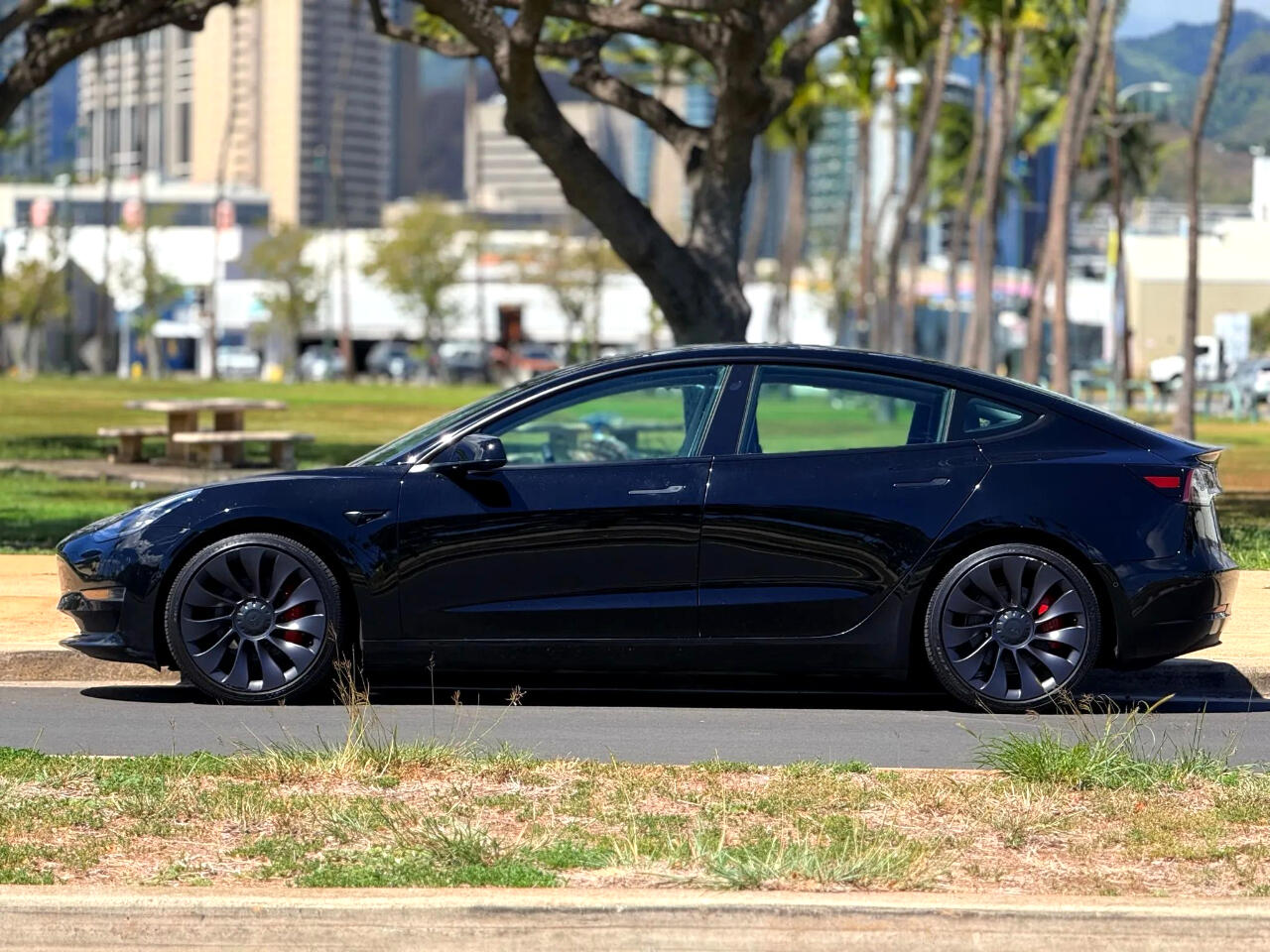 2021 Tesla Model 3 Performance photo 2