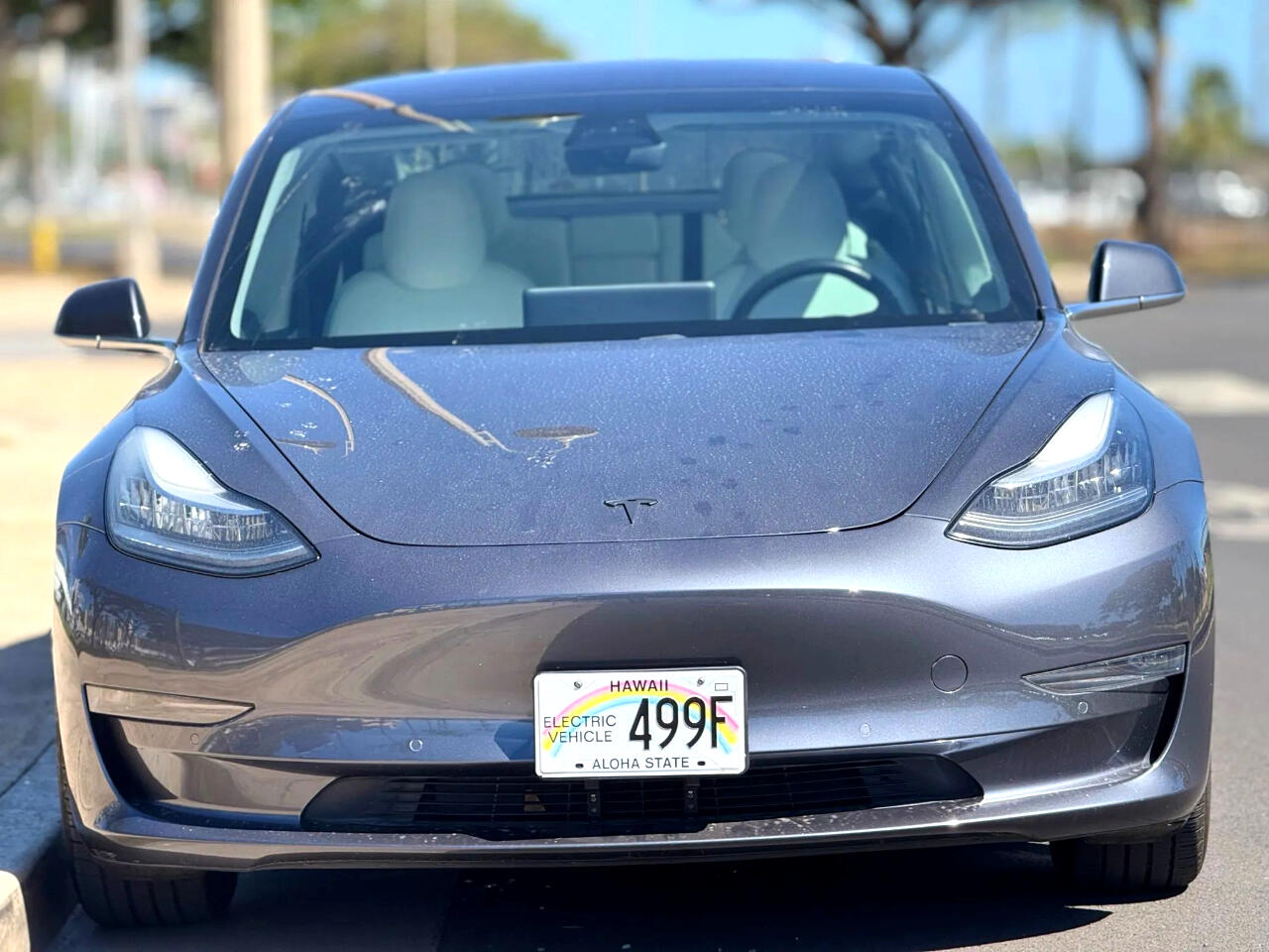2019 Tesla Model 3 Long Range photo 7