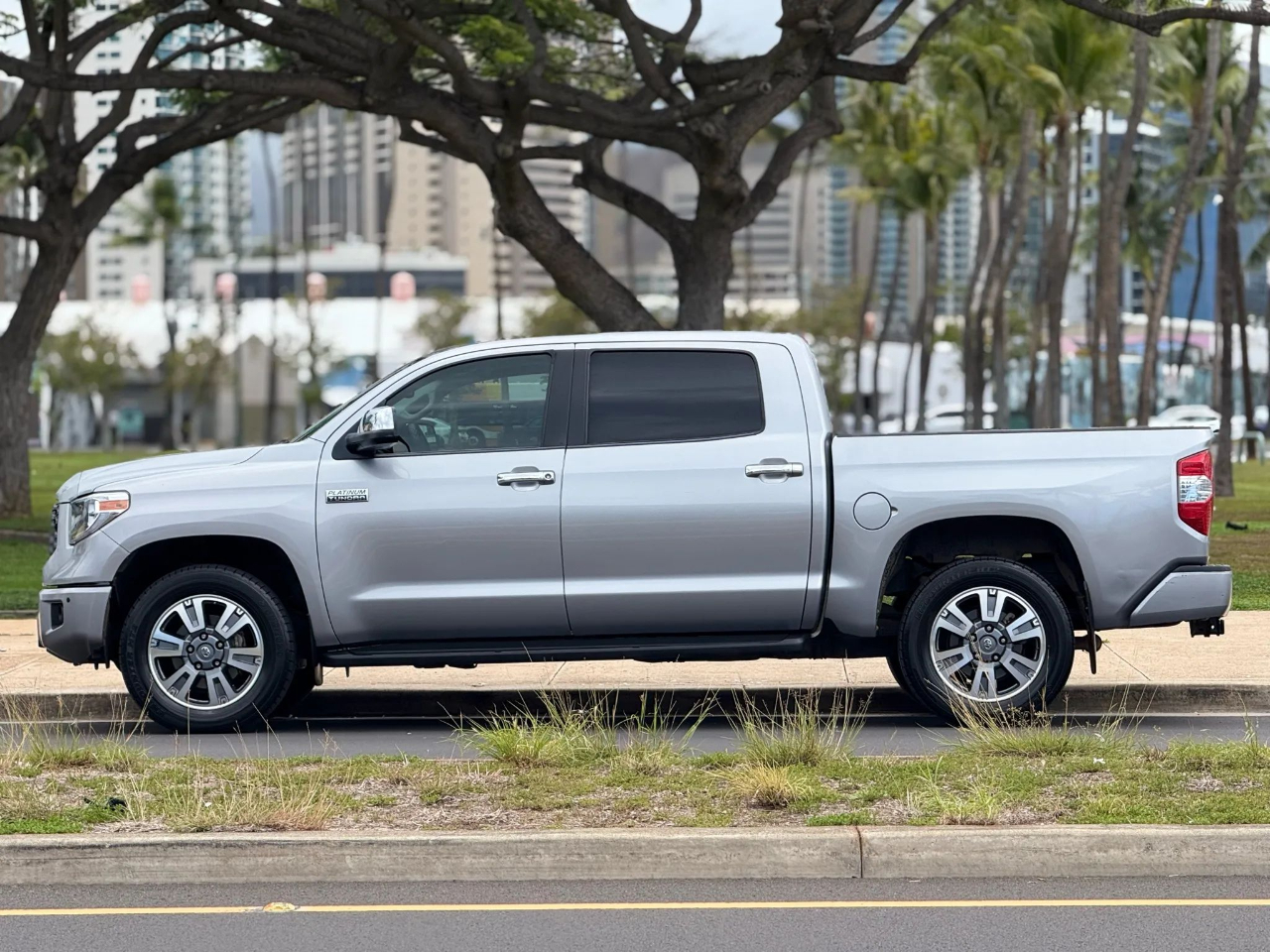 2019 Toyota Tundra Platinum CrewMax photo 2