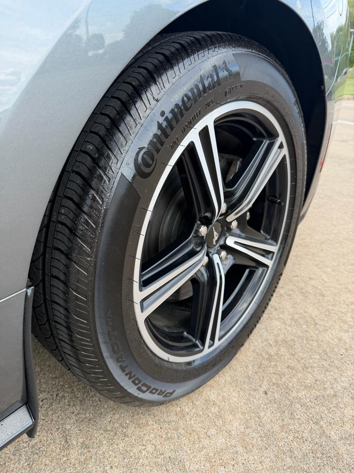 Ford Mustang 2dr Fastback EcoBoost 2024