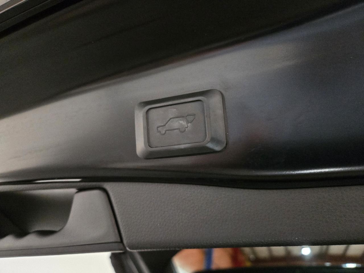 Toyota RAV4 XLE Premium FWD (Natl) 2020