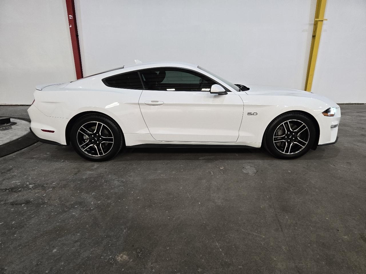 Ford Mustang GT Fastback 2022