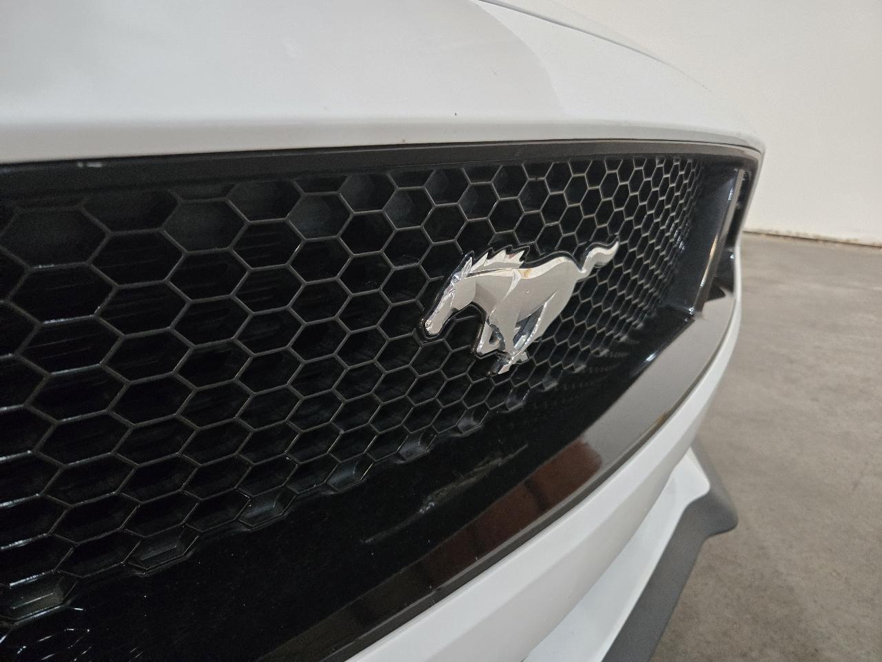 Ford Mustang GT Fastback 2022