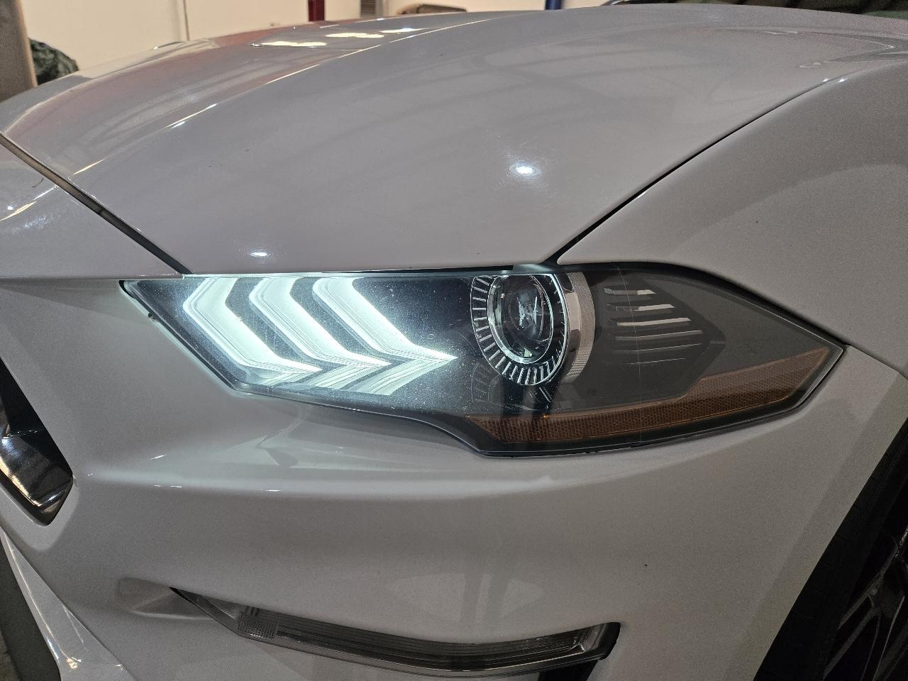 Ford Mustang GT Fastback 2022
