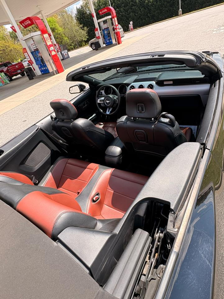 Ford Mustang GT convertible 2015