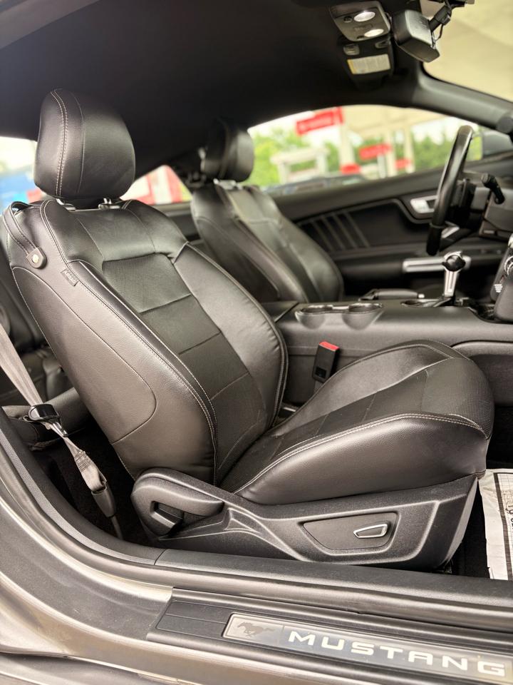 Ford Mustang EcoBoost Coupe 2019