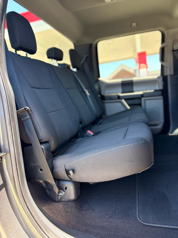 Ford F-150 XLT SuperCrew 6.5-ft. Bed 4WD 2020