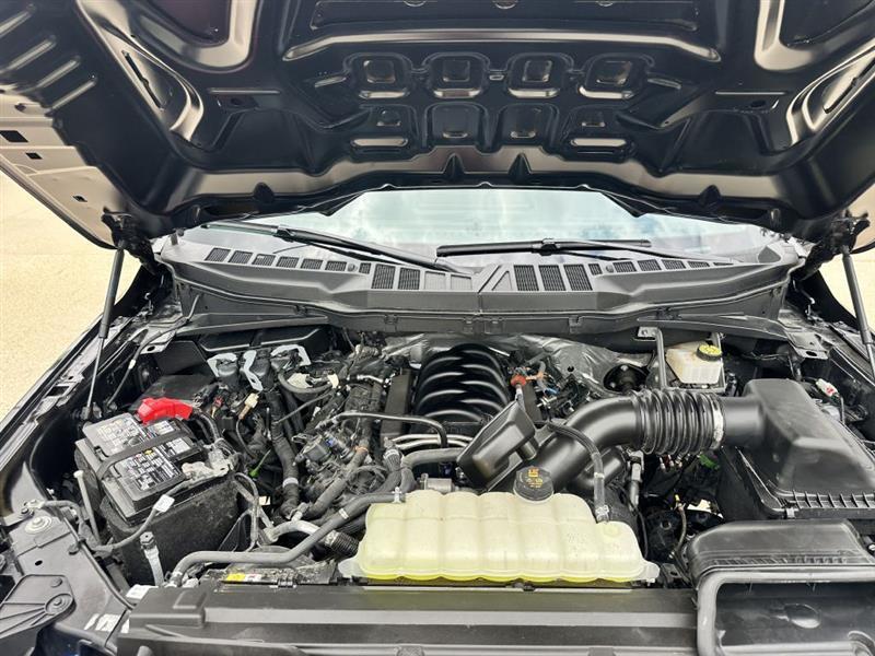 Ford F-150 XL 4WD 2024