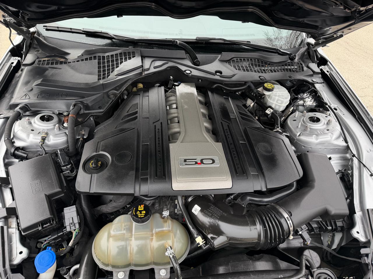 Ford Mustang GT Fastback 2020