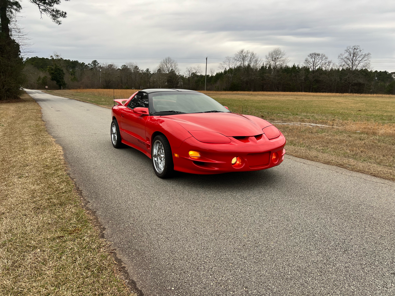 Pontiac Firebird 2dr Coupe Trans Am 2000