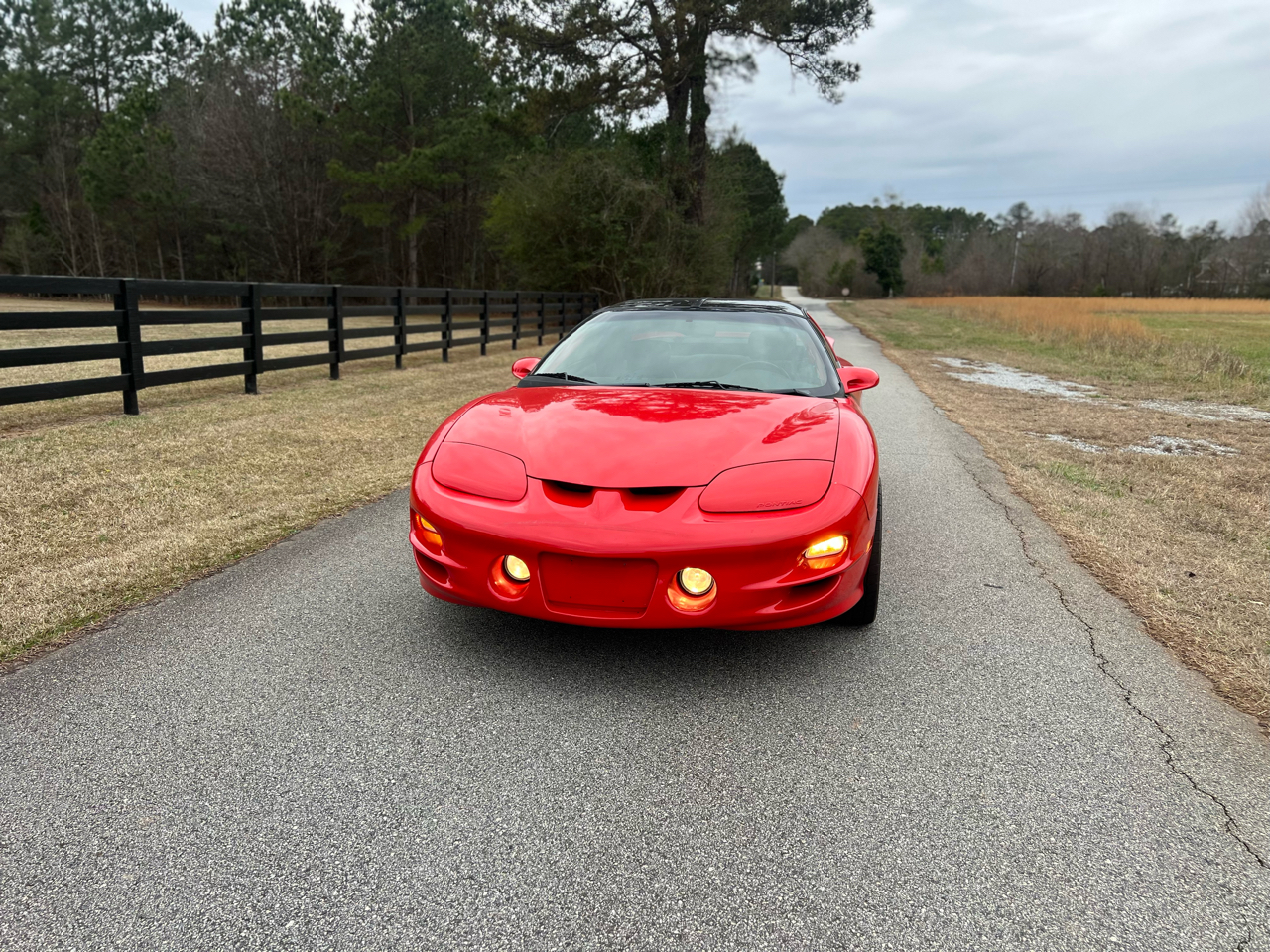 Pontiac Firebird 2dr Coupe Trans Am 2000