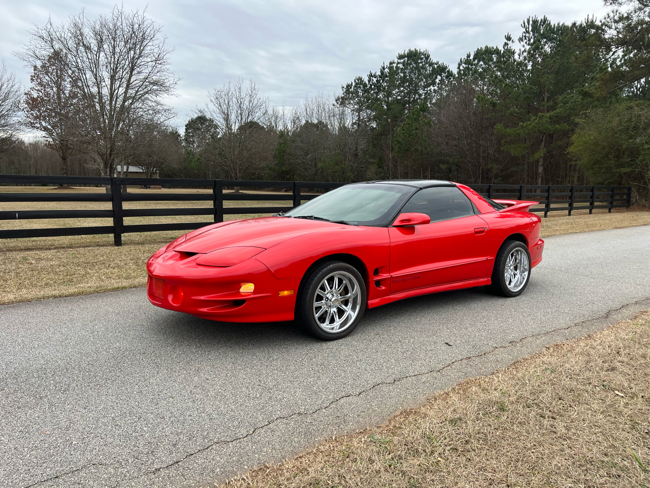 Pontiac Firebird 2dr Coupe Trans Am 2000