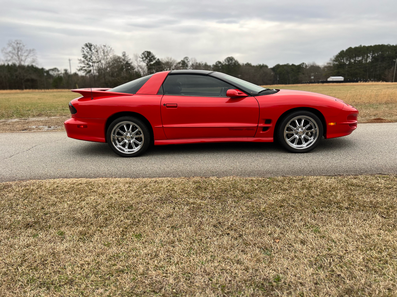 Pontiac Firebird 2dr Coupe Trans Am 2000