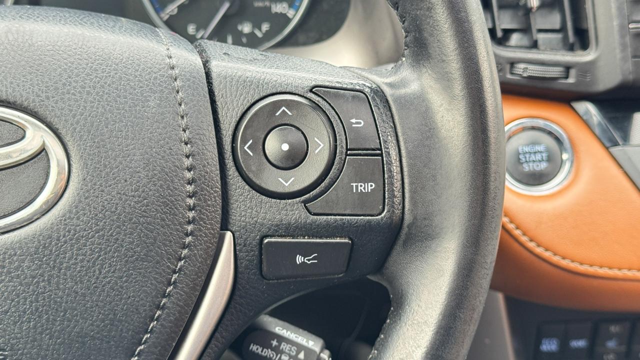 Toyota RAV4 Platinum AWD (Natl) 2017