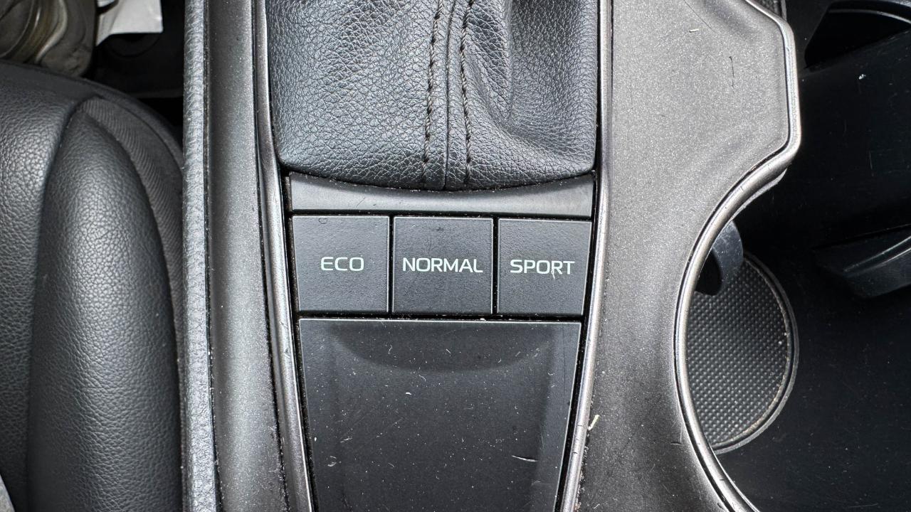 Toyota Camry SE Auto (Natl) 2023